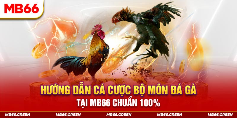 hb888 chơi baccarat là gì