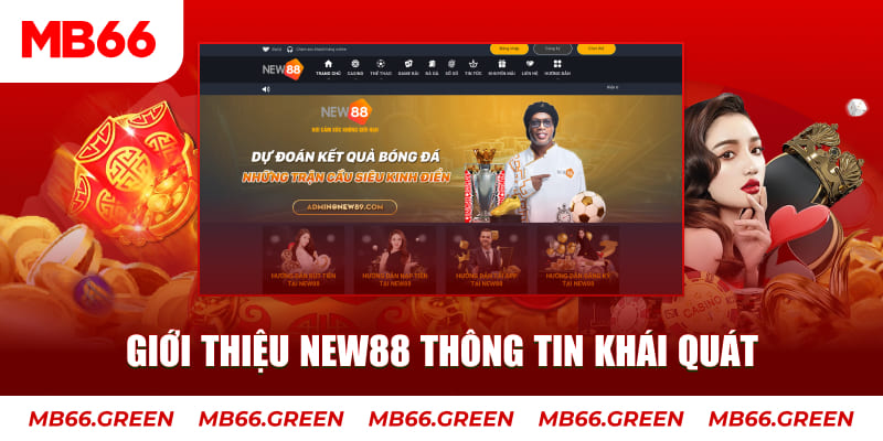hb888 c1 gà chọi
