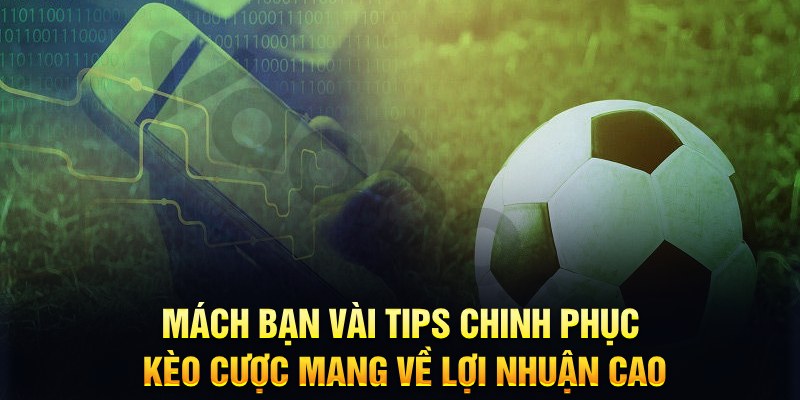 hb888 đăng nhập phỏm hàng đầu