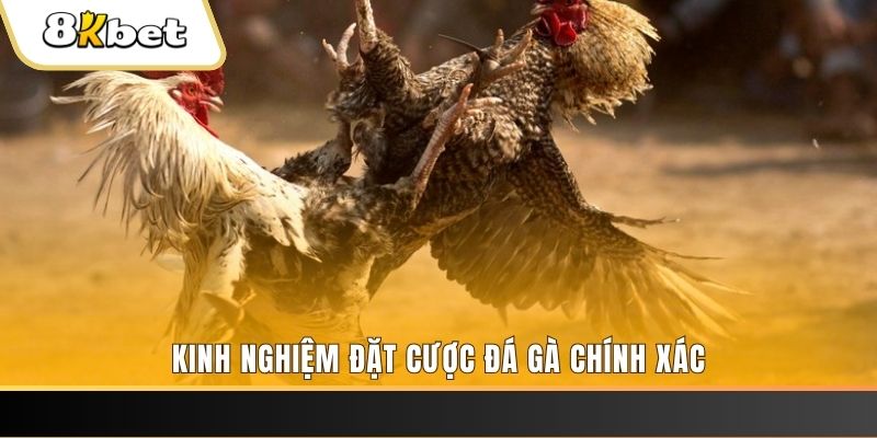 hb888 xổ số thứ bảy hàng tuần