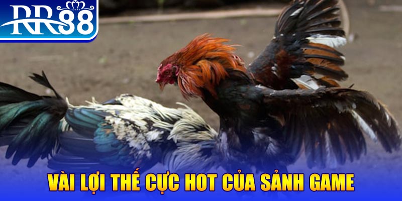 hb888 xổ số quảng nam