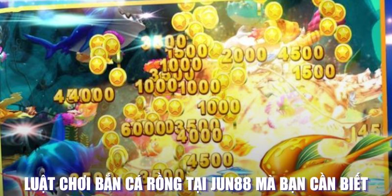 hb888 xổ số đài hà nội