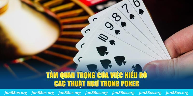 hb888 đá gà trực tiếp thomo 67
