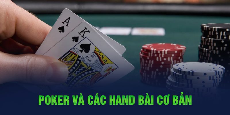 hb888 đá gà cựa dao