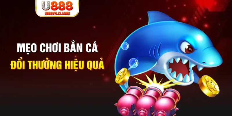 hb888 gà chọi cam ranh