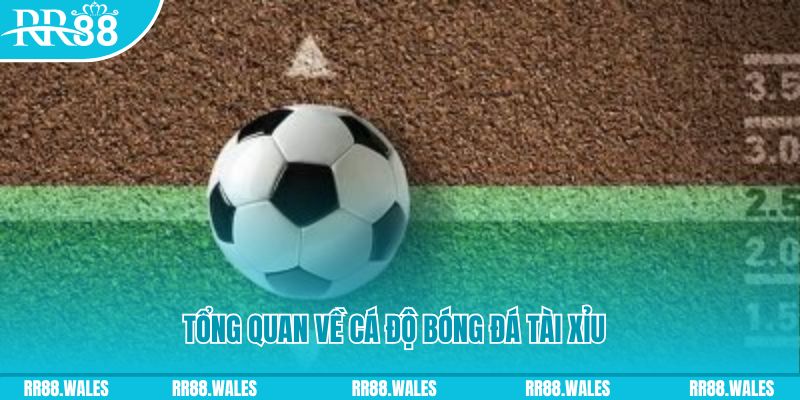 hb888 đăng nhập roulette online