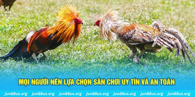hb888 Cỡ bảy
