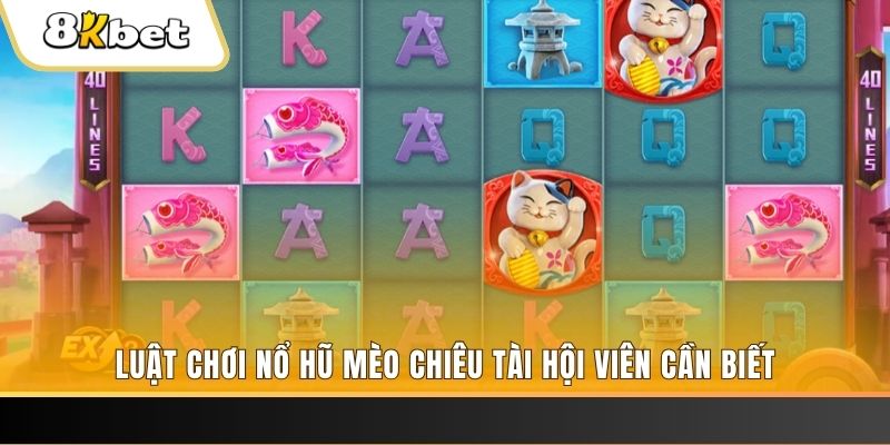 hb888 gà chọi cu cần