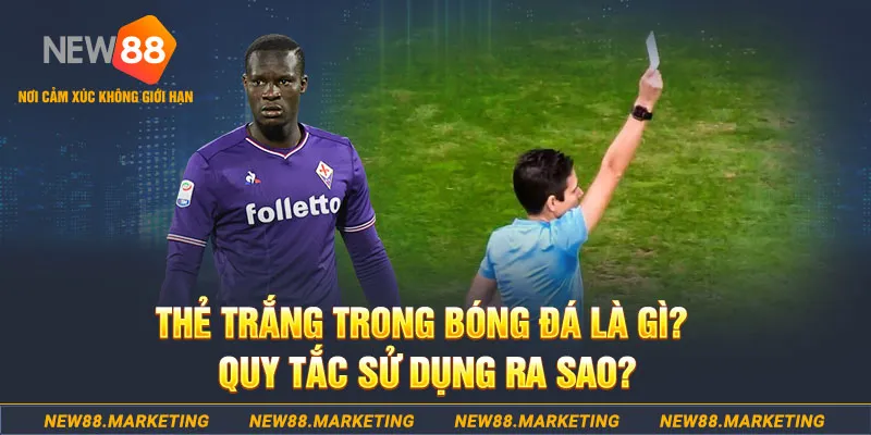hb888 đăng nhập sòng bạc hôm nay