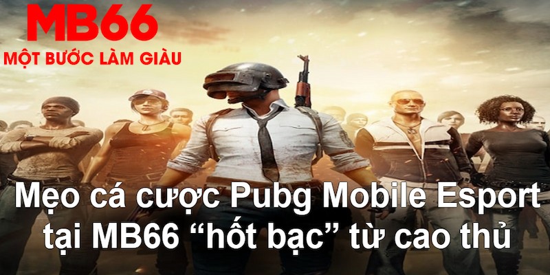 hb888 đăng nhập poker hàng đầu